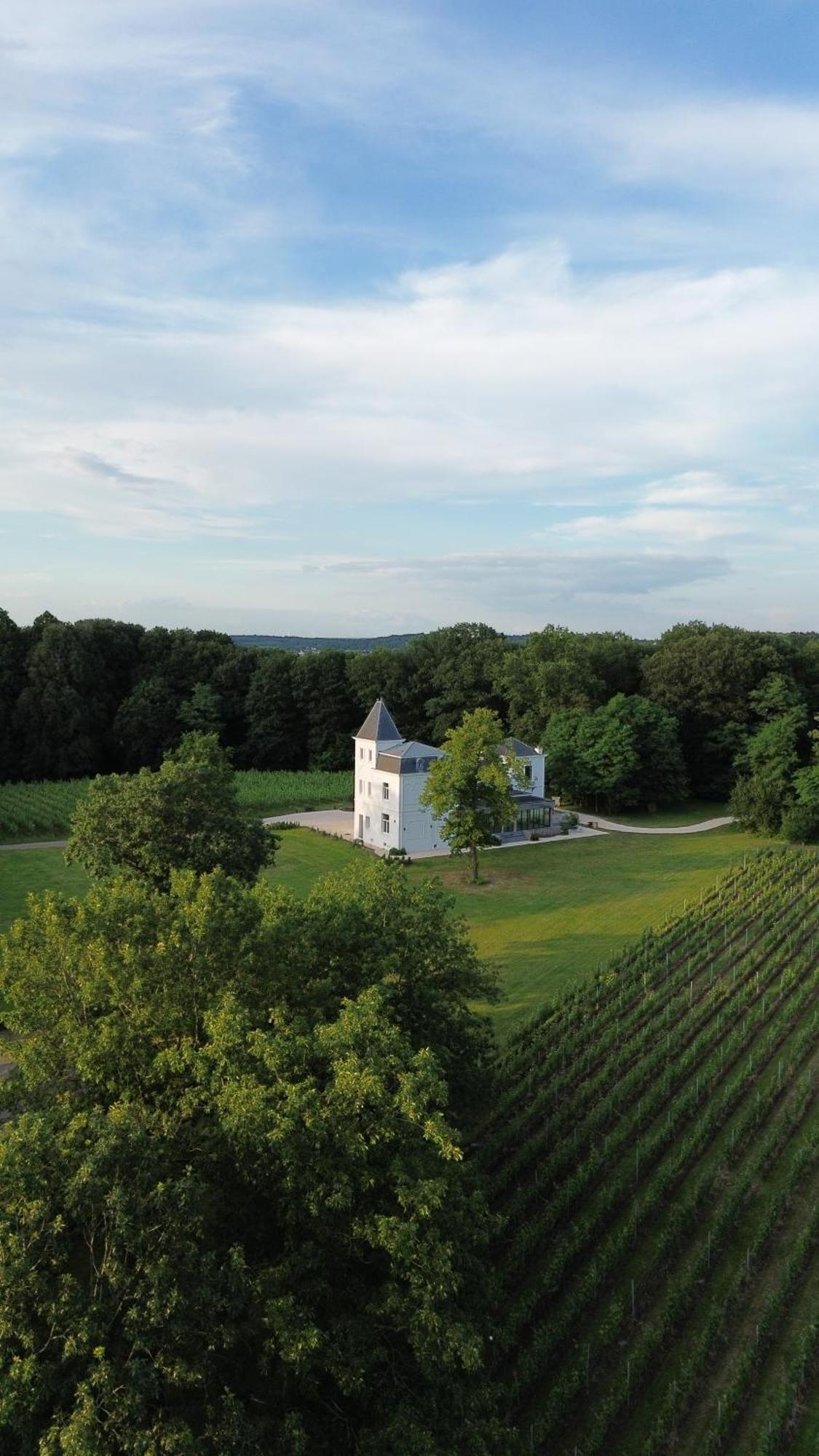 Wijnkasteel Haksberg Villa Tielt Buitenkant foto