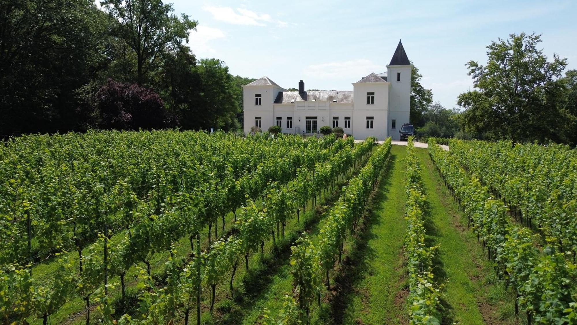 Wijnkasteel Haksberg Villa Tielt Buitenkant foto